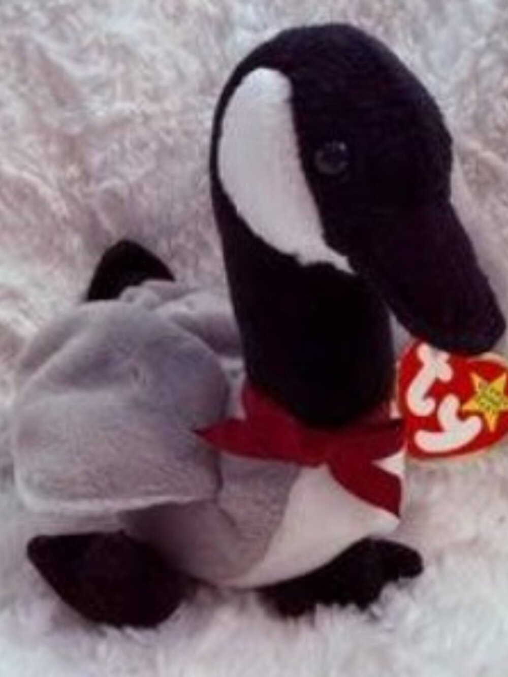 Beanie Baby - Loosy